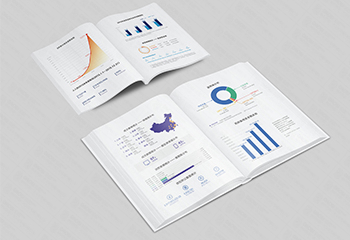 《人人貸》征信行業(yè)畫冊設(shè)計