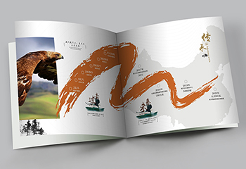 醫(yī)療機(jī)構(gòu)古典宣傳冊-楓葉正紅健康無限畫冊設(shè)計(jì)