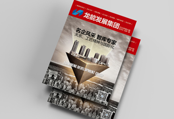 地產(chǎn)期刊《龍能發(fā)展集團(tuán)》期刊內(nèi)刊排版