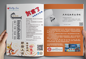 寵物類雜志《寵商會》雜志排版