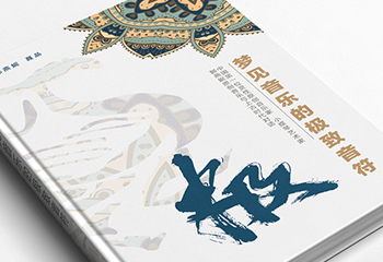 《夢(mèng)見音樂的極致音符》音樂書籍排版