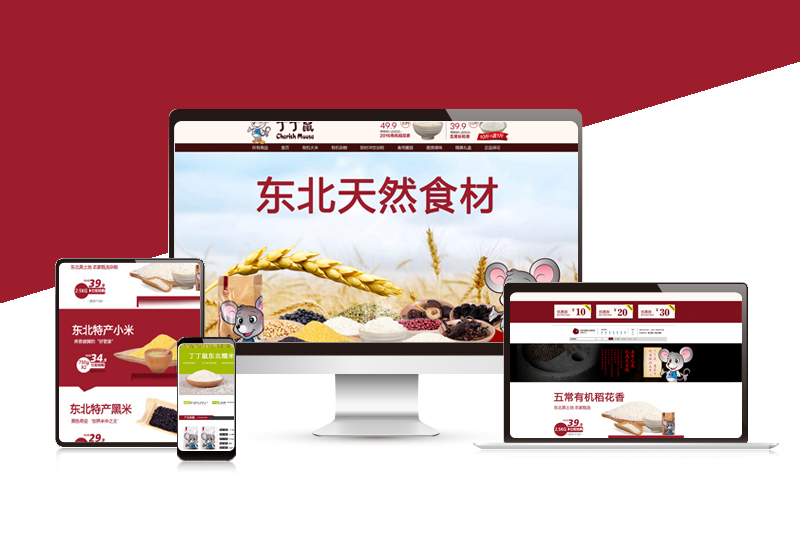 農(nóng)產(chǎn)品 綠色 純天然食材整店裝修設(shè)計(jì)