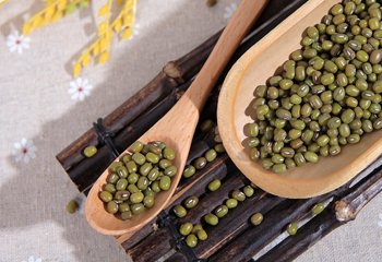 豆類產(chǎn)品攝影