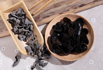 菌類產(chǎn)品攝影