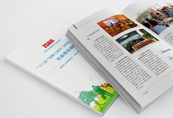 中山保險(xiǎn)業(yè)《社會(huì)責(zé)任報(bào)告》期刊排版