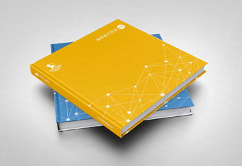 《通用美式英語字典》教材排版