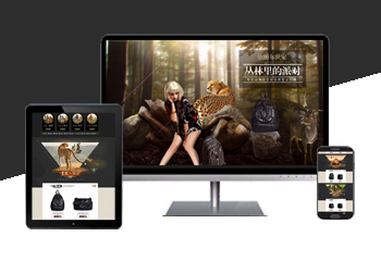 高端時(shí)尚女包首頁設(shè)計(jì)