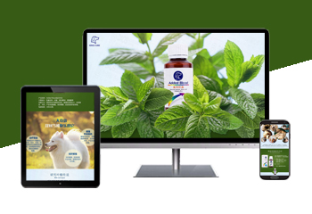 清新簡潔寵物用品詳情頁設(shè)計(jì)