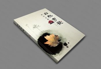 自然奇觀(guān)中國(guó)風(fēng)書(shū)籍封面設(shè)計(jì)