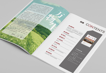 《隆之路》企業(yè)期刊排版